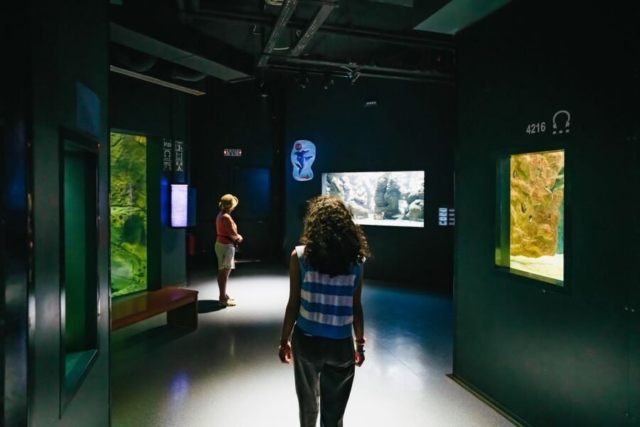 Heraklion Area: CRETAquarium Admission Ticket - Thalassokosmos and the science behind the scenes (HCMR mission)