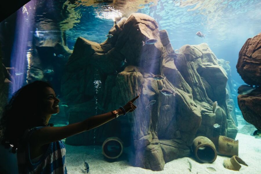 Heraklion Area: CRETAquarium Admission Ticket - Price and value: is the one-day admission worth about $9?