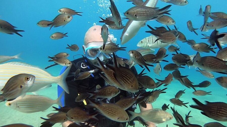 Heraklion: Beginner Scuba Diving Lesson with PADI Instructor - Price and value: does $88 make sense for a first-timer?