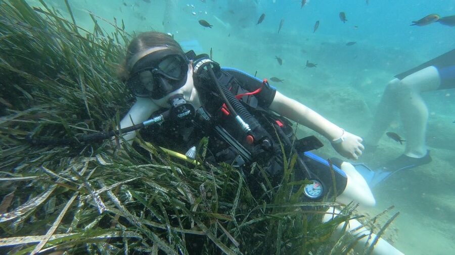 Heraklion: Beginner Scuba Diving Lesson with PADI Instructor - The safety briefing that actually feels practical