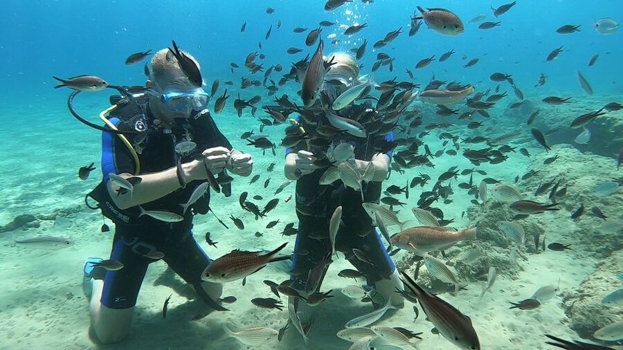 Heraklion: Beginner Scuba Diving Lesson with PADI Instructor - Your first underwater session in Agia Pelagia Bay