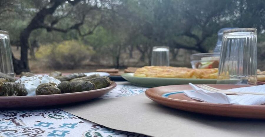 Heraklion: Cretan Farmers Brunch and Olive Grove Tour - Key Things That Make This Tour Worth Your Time