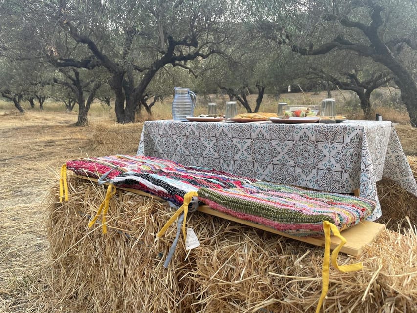 Heraklion: Cretan Farmers Brunch and Olive Grove Tour - Olive Grove Tour: The Practical Story Behind Olive Oil