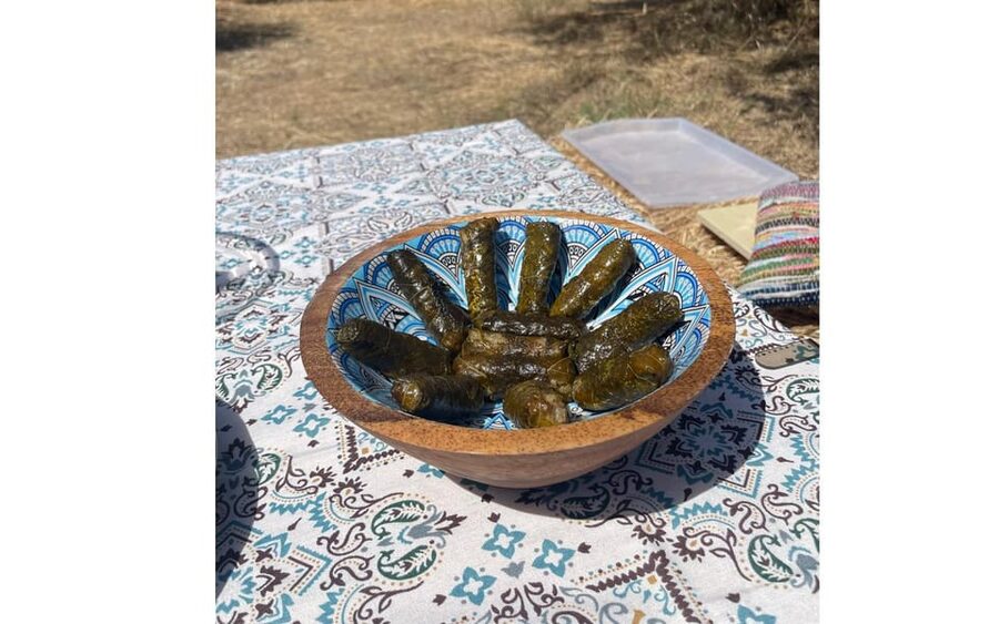 Heraklion: Cretan Farmers Brunch and Olive Grove Tour - Dragon Fruit Farm Stop: A Rare Taste Without the Fancy Noise
