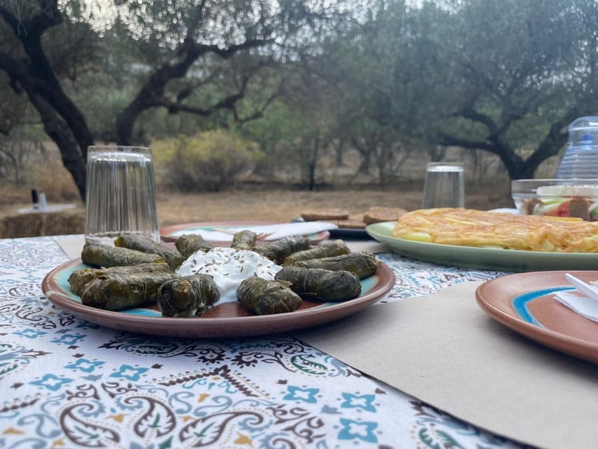 Heraklion: Cretan Farmers Brunch and Olive Grove Tour - What to Bring and What to Expect on Arrival