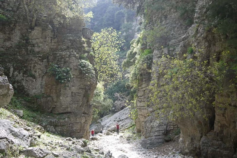 Heraklion Crete: Imbros Gorge Hike - Imbros Gorge hike: what you’ll see, what’s hard, and what makes it worth it