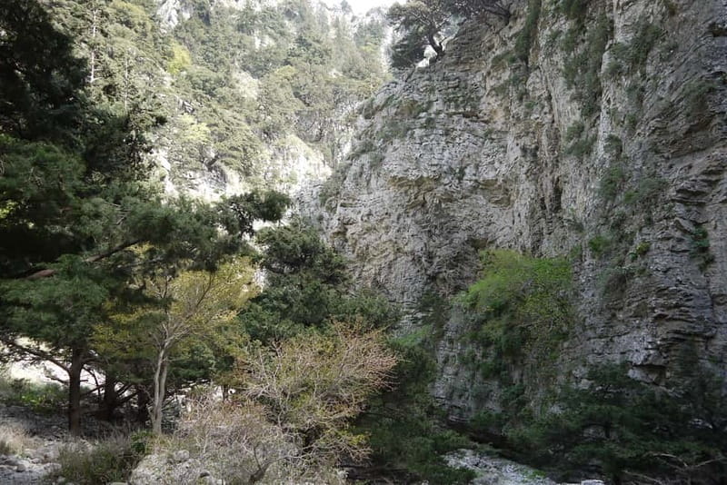 Heraklion Crete: Imbros Gorge Hike - The guide element: why Athina’s explanations make the gorge more than a walk