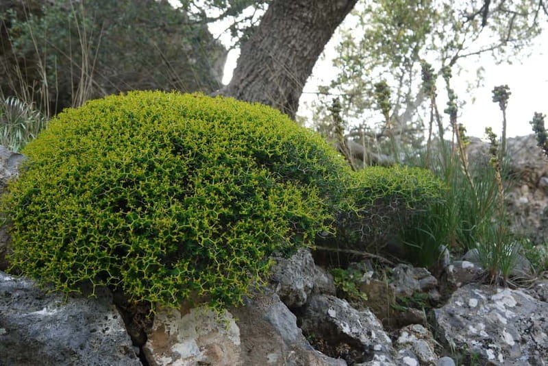Heraklion Crete: Imbros Gorge Hike - Should you book this Imbros Gorge hike?