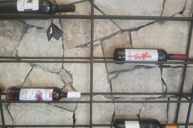 Heraklion Ecobike Tour & Cretan Wine Tasting Experience - Bike Comfort, Safety Gear, and the Waiver Form
