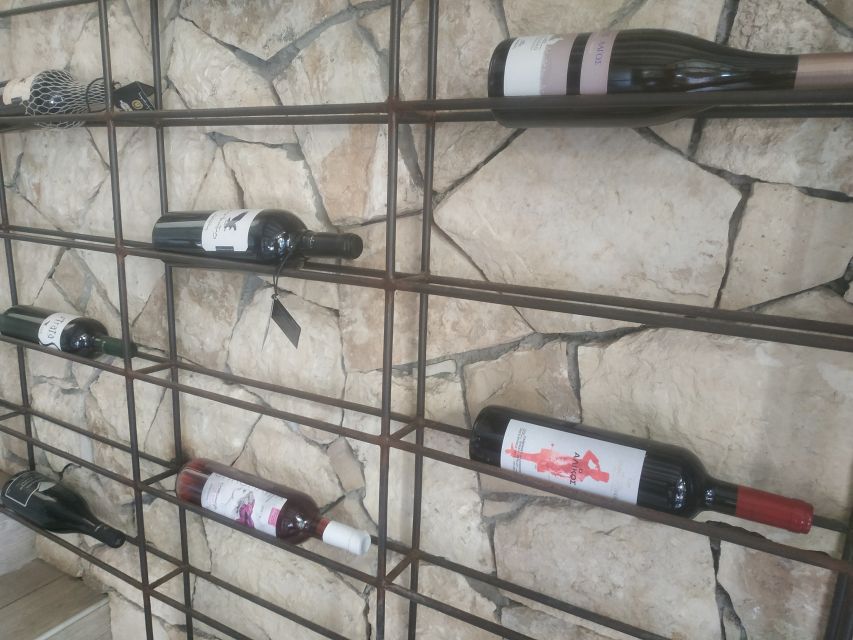 Heraklion: Ecobike Tour with Wine Tasting - Who This Heraklion Tour Fits Best