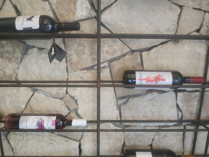 Heraklion: Ecobike Tour with Wine Tasting - What the Sommelier Tasting Really Means (and How to Get More Out of It)
