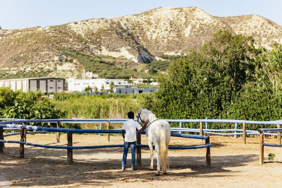 Heraklion: Finikia Horse Riding Tour with Lunch or Dinner - Entering Finikia: coffee, forms, and your horse