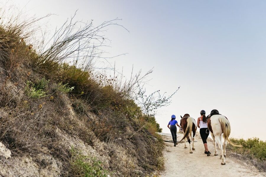 Heraklion: Finikia Horse Riding Tour with Lunch or Dinner - Morning vs afternoon: sun ride or moonlight ride