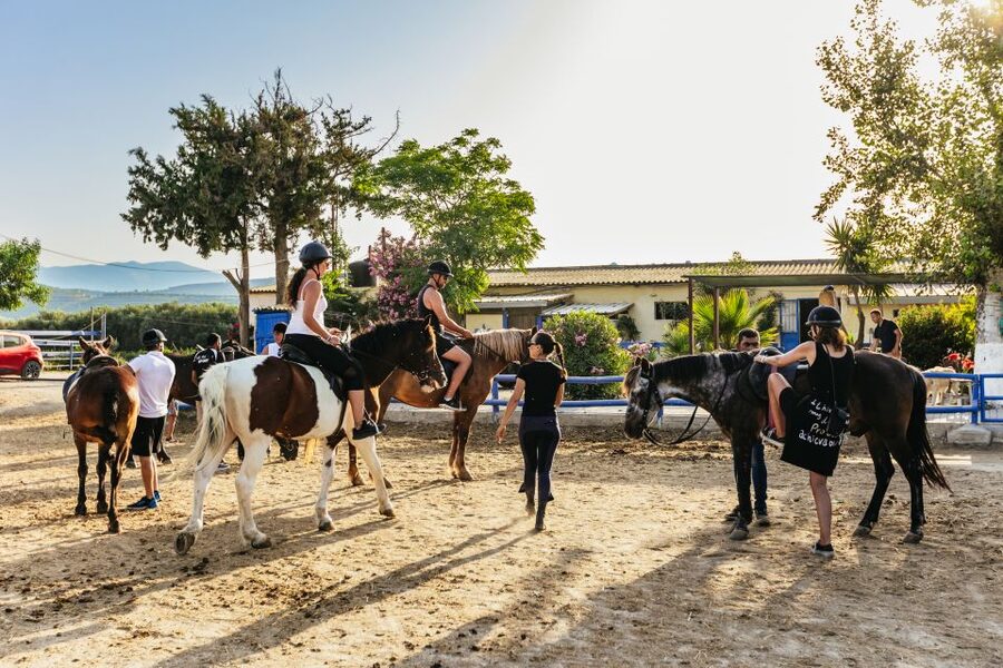 Heraklion: Finikia Horse Riding Tour with Lunch or Dinner - Price and value: what $94 includes (and what can cost extra)