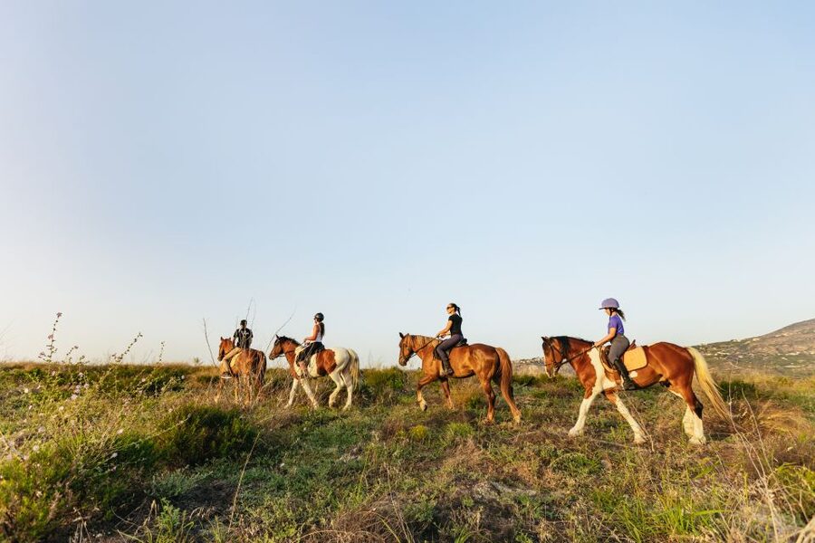 Heraklion: Horse Ride in the Cretan Mountains - What I like most: horses, guides, and views