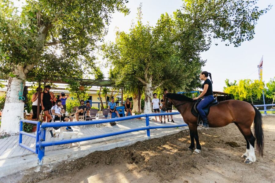 Heraklion: Horse Ride in the Cretan Mountains - One drawback to plan around