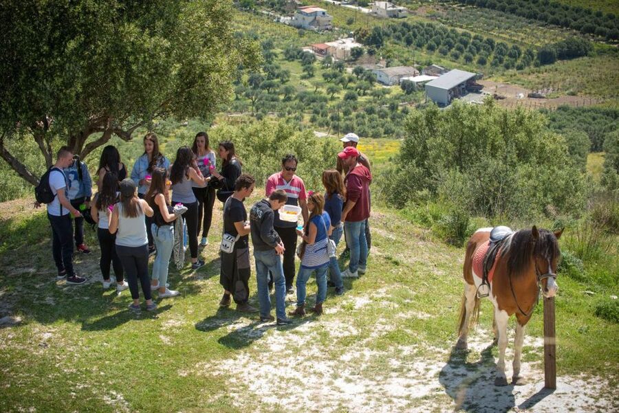 Heraklion: Horseriding Day Tour with Lunch and Transfer - Key things that make this tour worth your time