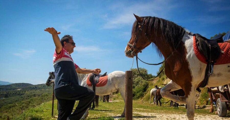 Heraklion: Horseriding Day Tour with Lunch and Transfer - The Actual Ride: Beginner-Friendly Horses, Plus Real Riding Time