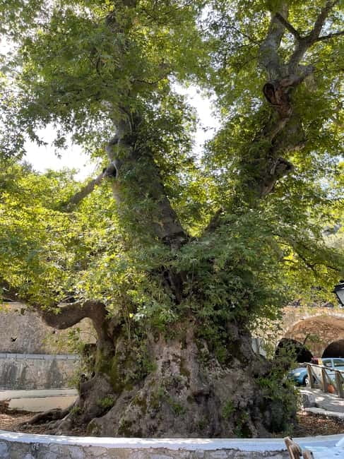 Heraklion: Knossos Zeus Cave Villages Olive Oil Factory Tour - Lunch at a family restaurant: what’s included and why it’s worth doing