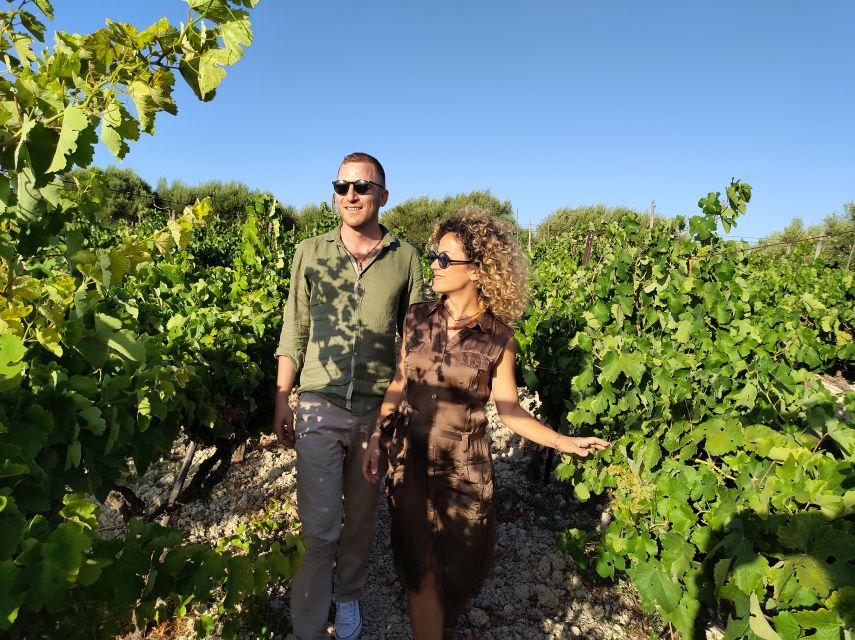 Heraklion: Olive oil and Wine Tour with Lunch - The route in between: walks, old presses, and small stops