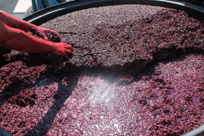 Heraklion: Olive oil and Wine Tour with Lunch - Price and value: what $235 buys you in the real world