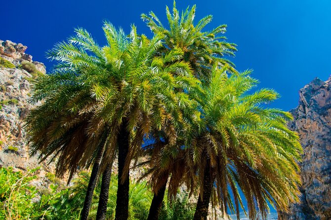 Heraklion: Preveli Boat Trip, Damnoni & Kourtaliotiko springs - Why this Heraklion trip works: three water moments in one day