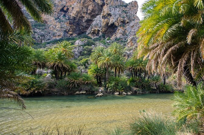Heraklion: Preveli Boat Trip, Damnoni & Kourtaliotiko springs - Preveli Palm Beach by boat: the river-meets-sea moment
