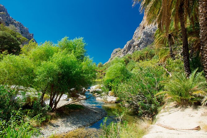 Heraklion: Preveli Boat Trip, Damnoni & Kourtaliotiko springs - How groups work here: the comfort of organization