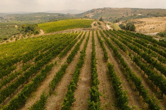 Heraklion Private Half-Day Gastronomy Diaries Experience in Lyrarakis Winery - What to expect during the 5-hour experience (and how to plan your day)