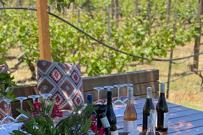 Heraklion Private Half-Day Wine Tasting Tour in Lyrarakis Winery - Lyrarakis Winery: vineyards and cellar time before you taste