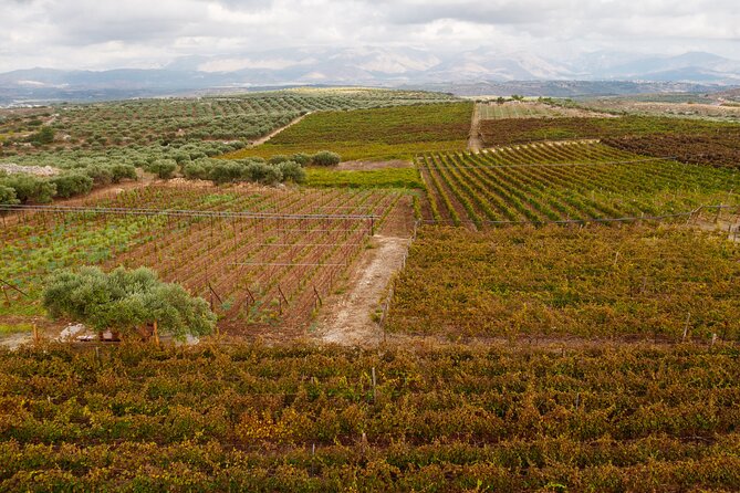 Heraklion Private Half-Day Wine Tasting Tour in Lyrarakis Winery - The tasting: six indigenous wines and a sommelier who adapts