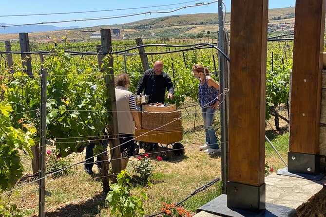 Heraklion Private Half-Day Wine Tasting Tour in Lyrarakis Winery - Price and value: is $183.42 per person fair for a private tour?