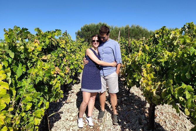 Heraklion Private Olive Oil and Wine Gastronomy tour with Lunch - Peza in the Middle: Inland Wine County Without the Admission Fee