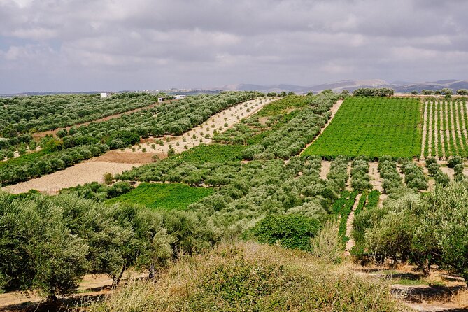 Heraklion Private Olive Oil and Wine Gastronomy tour with Lunch - Price and Logistics: Is $216.53 Good Value?