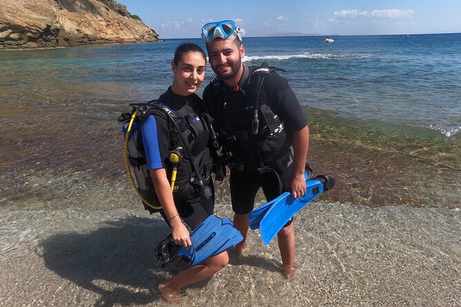 Heraklion: Scuba Diving Experience for Beginners - Agia Pelagia near Heraklion: a calm, guided start for beginners