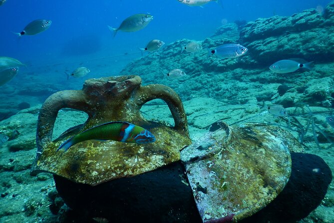 Heraklion: Scuba Diving Experience for Beginners - What you’ll do at the beach: signals, breathing, and fish-feeding time
