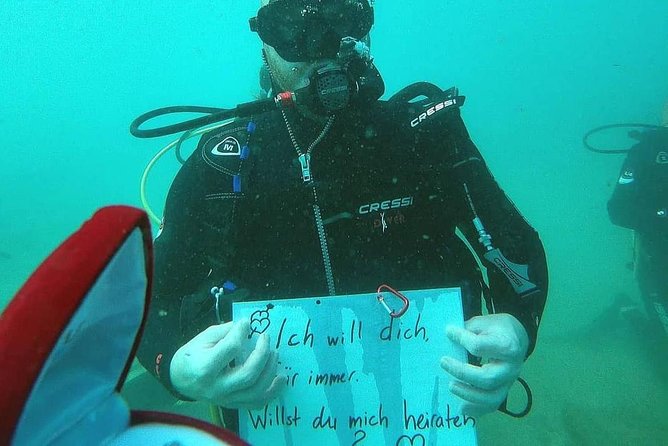 Heraklion: Scuba Diving Experience for Beginners - Sea life at Agia Pelagia: what you can expect to spot