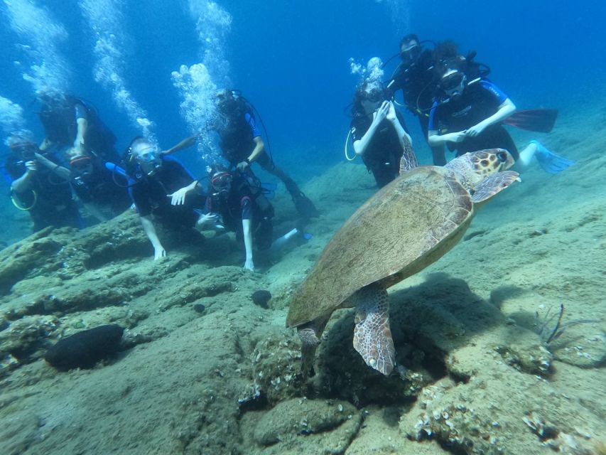 Heraklion: Scuba Diving Experience for Beginners _Beach - Photos, video, and the memory question (budget this)