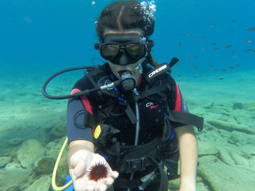 Heraklion: Scuba Diving Experience for Beginners _Beach - Getting there from Heraklion: transfers and where time slips away