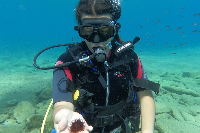 Heraklion: Scuba Diving Experience for Beginners - How the schedule really works: 3 hours total, with a learning-first rhythm