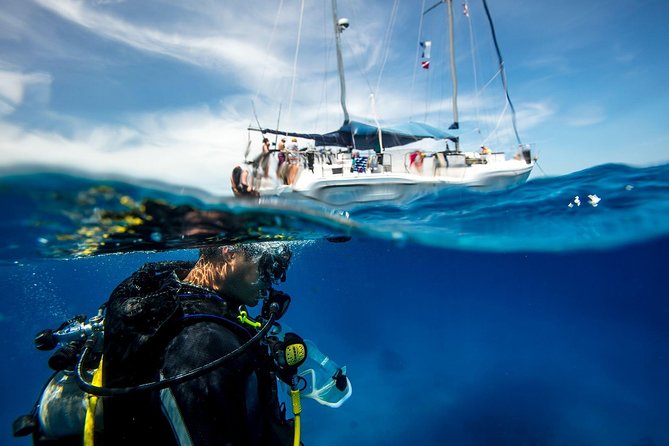 Heraklion: Scuba Diving Experience for First-Timers - Ligaria in Heraklion Is Built for First-Timers