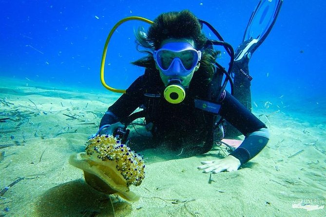 Heraklion: Scuba Diving Experience for First-Timers - Ligaria Marine Life: Clear Water, Photos, and a Real Sense of Place