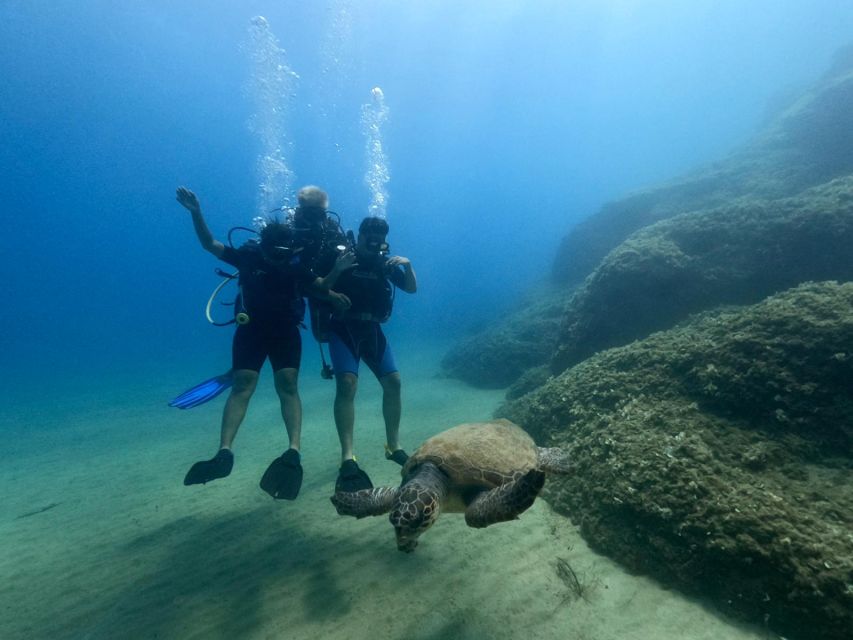 Heraklion: Scuba Diving Experience for First-Timers - What the Best Reviews Emphasize (So You Know What to Expect)