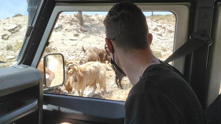 Heraklion: Self-Driving 4X4 Jeep Off-Road Tour with Lunch - From Pickups to Safety Briefing in Malia: How the 8 Hours Are Managed