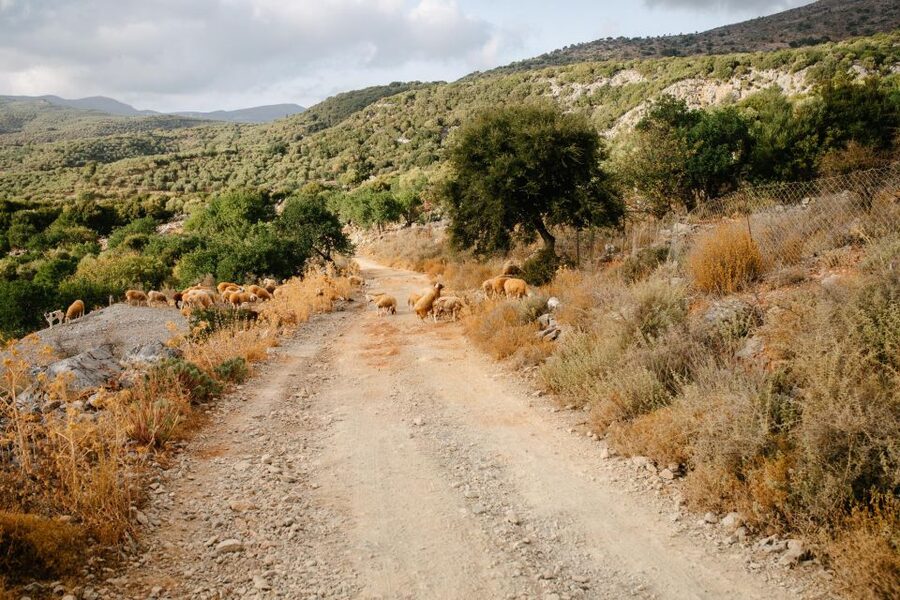 Heraklion: Self-Driving 4X4 Jeep Off-Road Tour with Lunch - Lunch in Malia: Included BBQ with Water