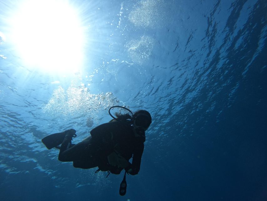 Heraklion: Try Scuba Diving For Beginners (1 dive) - Key highlights that matter before you book