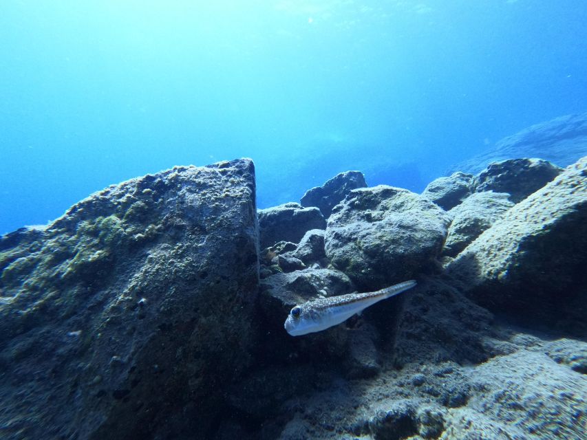 Heraklion: Try Scuba Diving For Beginners (1 dive) - Should you book this try-scuba session in Heraklion?
