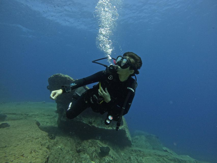 Heraklion: Try Scuba Diving For Beginners (1 dive) - Your first underwater session: safety, shallow water, and sea life