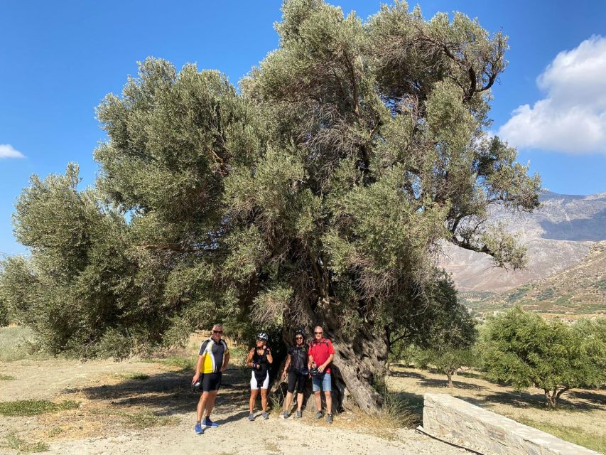 Heraklion: Wine Tasting E-Bike Tour - Who this tour fits best (and who should skip)