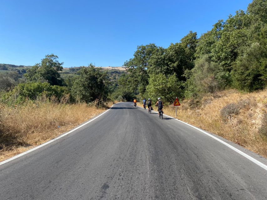 Heraklion: Wine Tasting E-Bike Tour - Pacing, safety, and why the guide name matters (Aris)